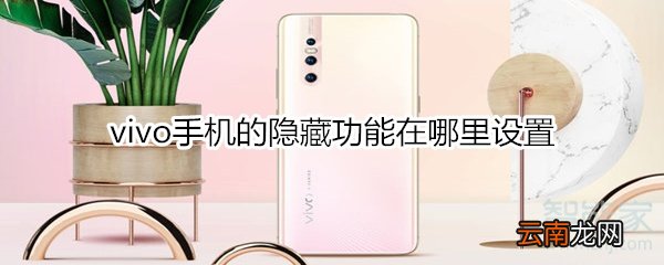 vivo手机的隐藏功能在哪里设置