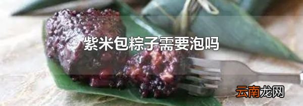 紫米包粽子需要泡吗