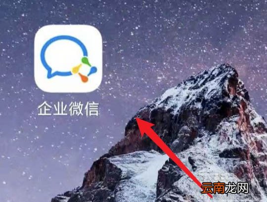 企业微信怎么置顶打卡?企业微信置顶打卡的教程