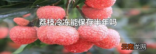 荔枝冷冻能保存半年吗