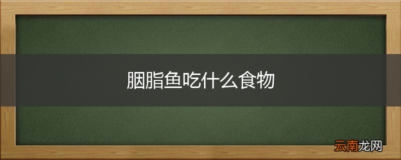 胭脂鱼吃什么食物