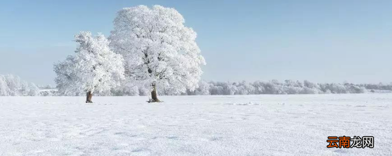 10毫米雪是多大