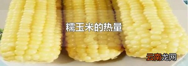 糯玉米的热量