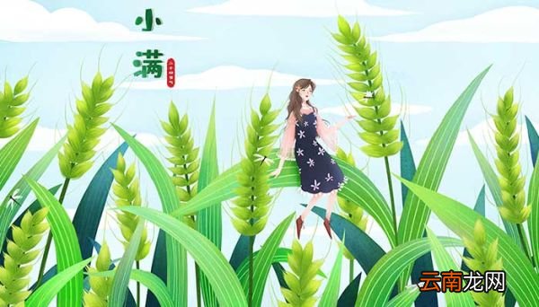 芒种前后节气 芒种前后节气是什么