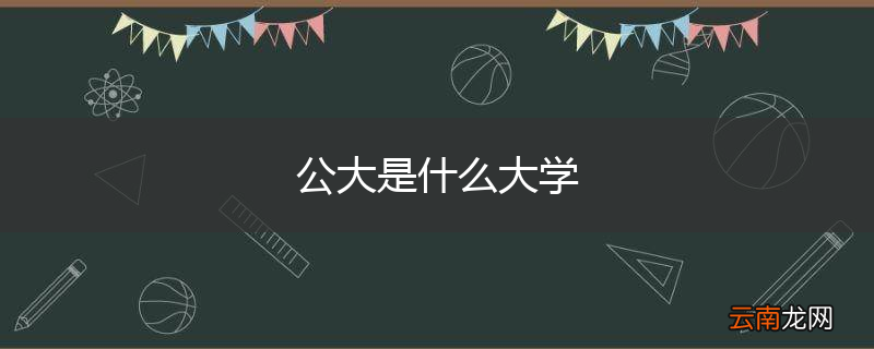 公大是什么大学