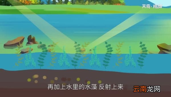 五彩湖在哪里 五彩湖在什么地方