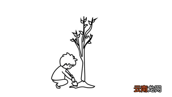 植树简笔画画法植树简笔画怎么画