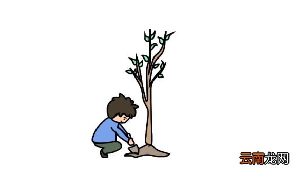 植树简笔画画法植树简笔画怎么画