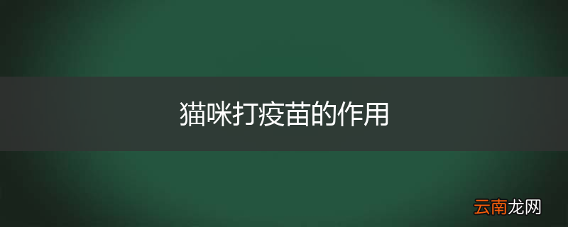 猫咪打疫苗的作用