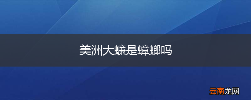 美洲大蠊是蟑螂吗