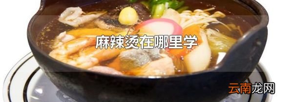 麻辣烫在哪里学