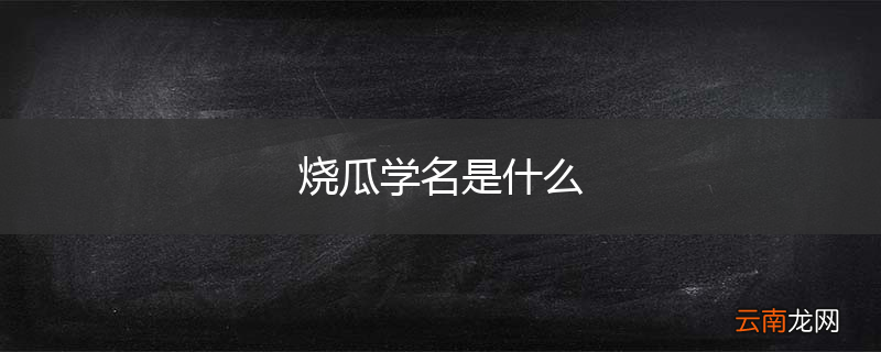 烧瓜学名是什么