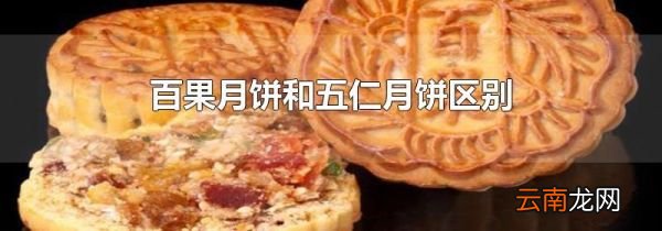 百果月饼和五仁月饼区别