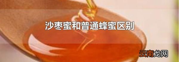 沙枣蜜和普通蜂蜜区别