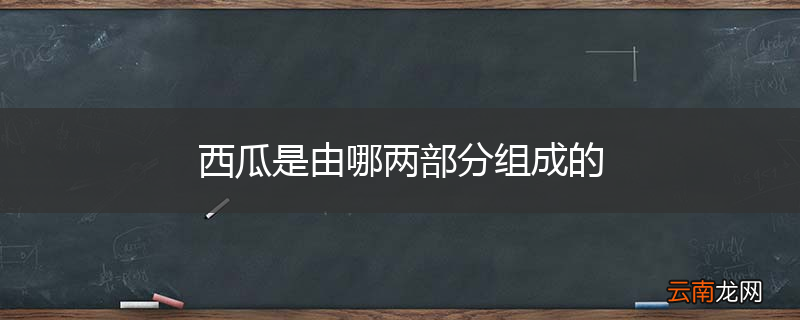 西瓜是由哪两部分组成的