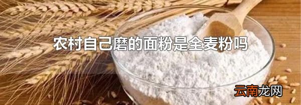 农村自己磨的面粉是全麦粉吗