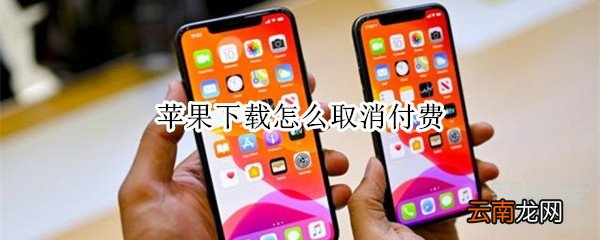 苹果下载怎么取消付费