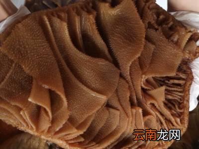 毛肚如何保存冷藏