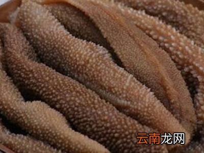 毛肚如何保存冷藏