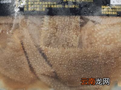 毛肚如何保存冷藏