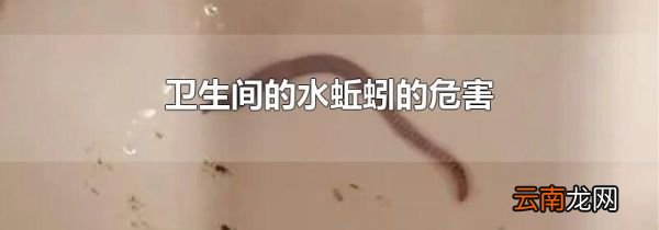 卫生间的水蚯蚓的危害