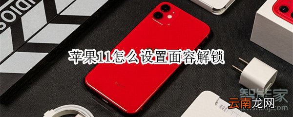苹果11怎么设置面容解锁