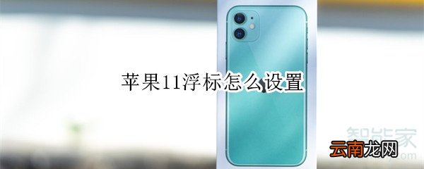 苹果11浮标怎么设置