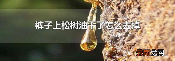 裤子上松树油干了怎么去掉