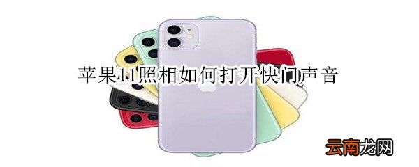 苹果11照相如何打开快门声音