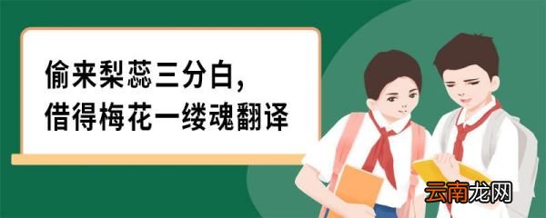 偷来梨蕊三分白,借得梅花一缕魂翻译 咏白海棠原文