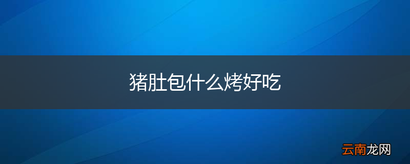 猪肚包什么烤好吃