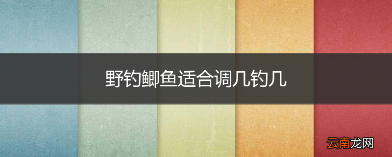 野钓鲫鱼适合调几钓几