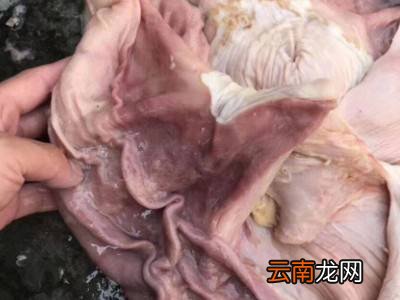 驴大肠怎么洗简单又干净