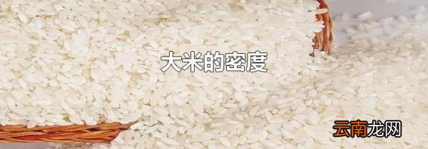 大米的密度