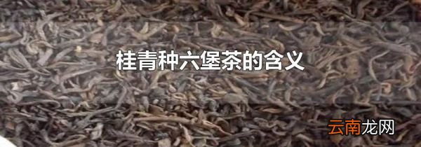 桂青种六堡茶的含义