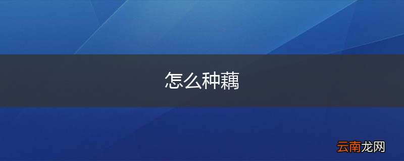 怎么种藕