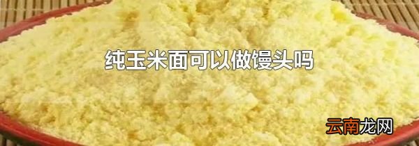 纯玉米面可以做馒头吗