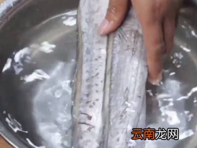 带鱼段怎么处理干净