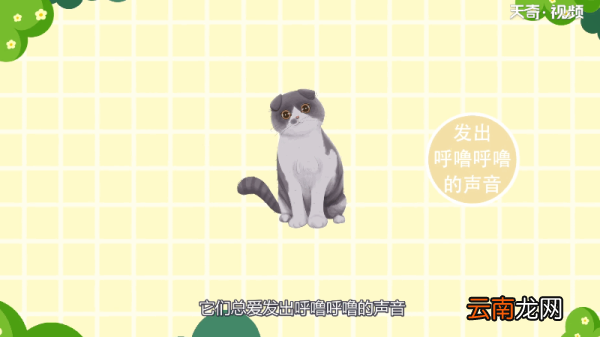 猫为什么会发出呼噜呼噜的声音 为什么猫会发出呼噜呼噜的声音