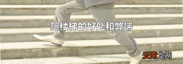 爬楼梯的好处和弊端