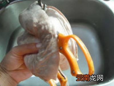 猪肚怎么切