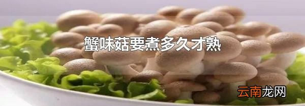 蟹味菇要煮多久才熟