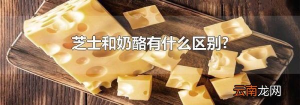 芝士和奶酪有什么区别?