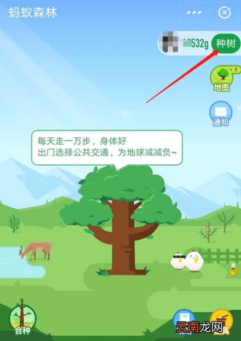 支付宝蚂蚁森林首页小鹿获取方法