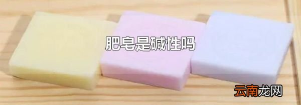 肥皂是碱性吗