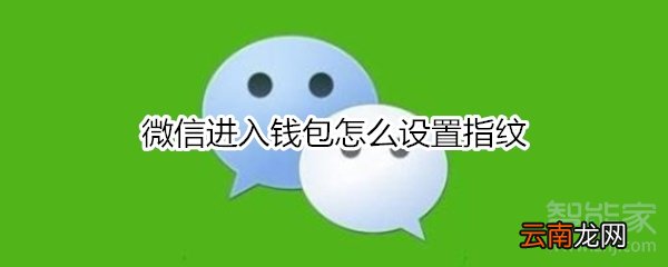微信进入钱包怎么设置指纹