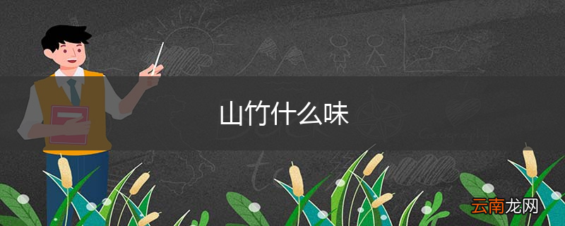 山竹什么味
