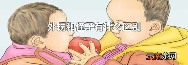 外甥和侄子有什么区别