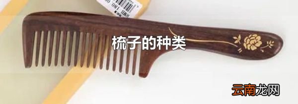梳子的种类