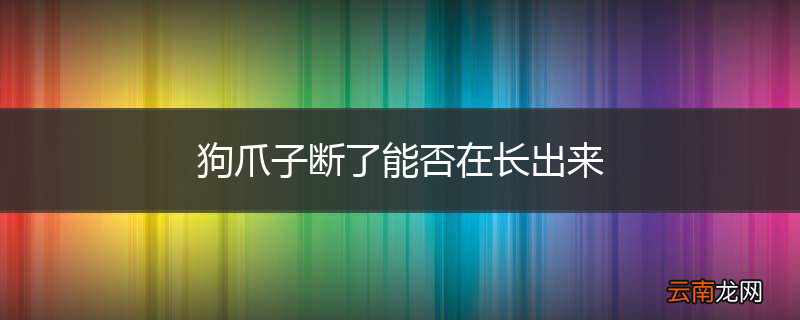 狗爪子断了能否在长出来